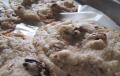How To Make Simple Pecan Cookies