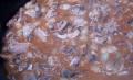 How To Make Coq Au Vin