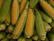 Tips To Make Corn On The Cob