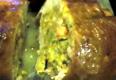Cornbread Shrimp Stuffed Deboned Chicken Recipe Video