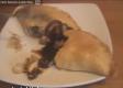 Cornish Pasty