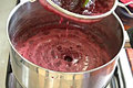 Frozen Berry Coulis 