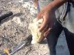 Da Conch Shack - Cracking Conch