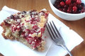 Easy Cranberry Pie 
