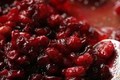How To Make Cranberry Sauce And Rum Sauce
