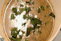 Cream of Wild Mushroom Soup