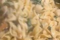 Creamy Chicken and Mushroom Florentine with Egg Noodles