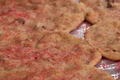 How To Make Crispy Pecan Cookies