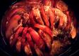 Pork Hot Pot
