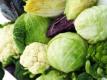 Broccoli Cauliflower And Cabbage Video
