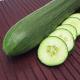 How To Cut Cucumber