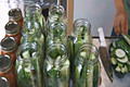 Cucumber Pickles