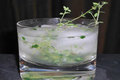 How To Make a Cucumber Thyme Gin and Tonic Cocktail