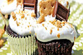 S'more Cupcakes & Marshmallow Frosting