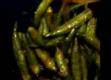 How To Make Okra Curry