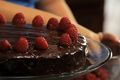 Dairy Free Yellow Cake with Chocolate Frosting