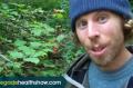 Pros And Cons Of A Raw Vegan Diet