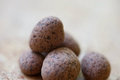 Dark Chocolate Vegan Truffles