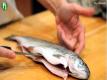 How To Clean Trout Video