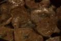 How To Make Pan Fried Deer Heart