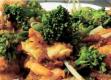 Delicious Malaysian Broccoli and Prawn Salad