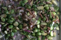 Delicious Roasted Brussels Sprouts with Bacon