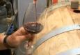 Arizona Wine Making