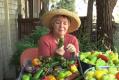 All About Sweet Peppers