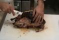 How to Carve a Turkey by Chef Todd Mohr