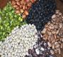 Dried Beans