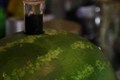 Drunken Watermelon - Part 3