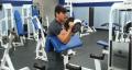 Dumbbell Hammer Curls On The Preacher Curl Bench