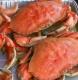 Humboldt Dungeness Crab