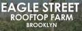 Hungry In Brooklyn: Eagle Street Rooftop Farm