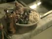 How To Make Easy Baked Chicken Drumsticks