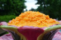 Healthy Carrot Dip