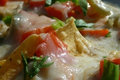 Nachos Recipe