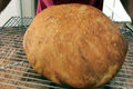 Easy Rustic Bread