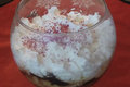 Easy Trifle 