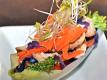 Endive Extravaganza - Hundreds of Combinations
