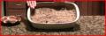 How To Make Energy Bars