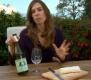 Enjoy Bacchus With Goat Cheese