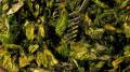 How To Make Escarole Salad With Tarragon