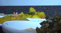 How To Make An Ethiopian Feast In 13 Minutes Video