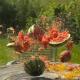 Melon Explosion! Video