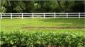 Experimental Row Crops