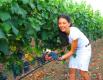 Cooking & Wine Holidays In Puglia, Southern Italy Review