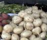 Facts About Jicama