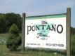 Fairway Market Visits Our Farmers: Fresh Summer Veggies at Tom Pontano and Son Farms 