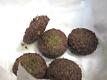 SanaaCooks: Falafel